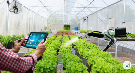 Seeds of Change: When Farm Tech Fails