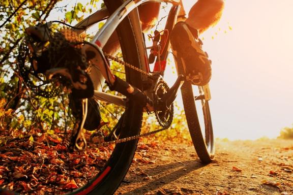 Business Conditioning:  Smart Debt Builds Muscle
