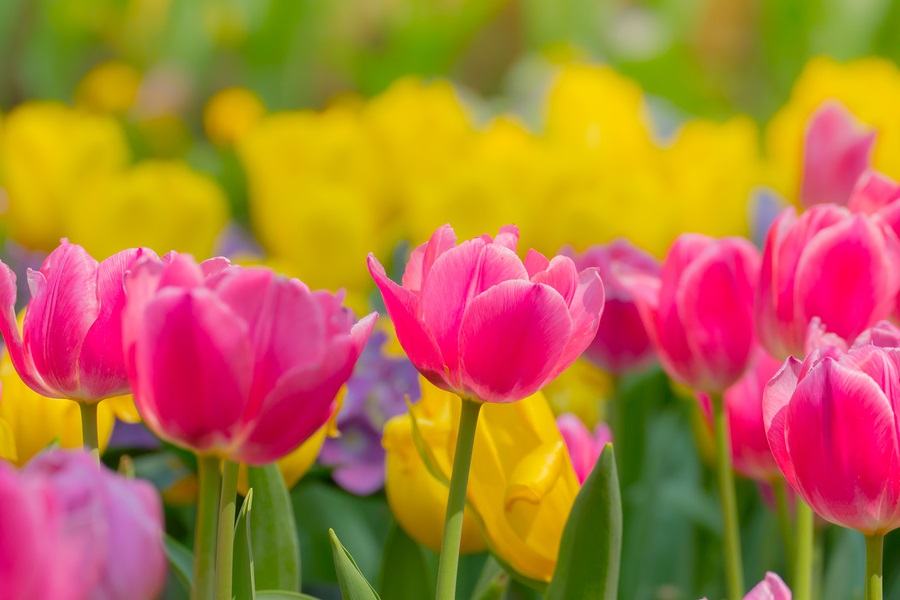 5 Tips for Computer Spring Cleaning