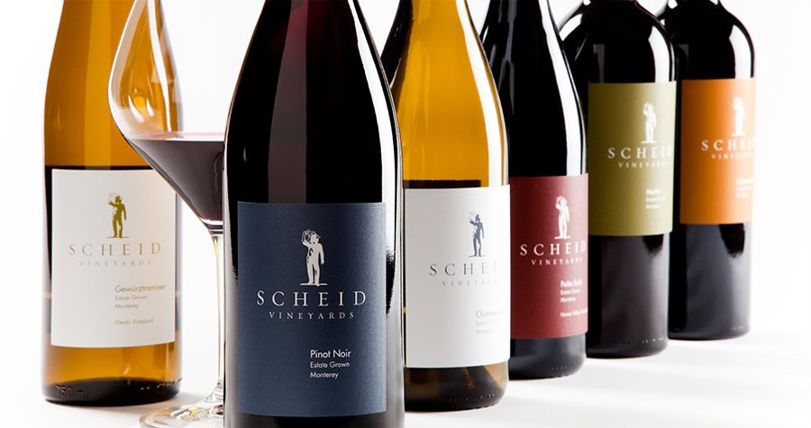 Harvesting the Potential of Scheid Vineyards