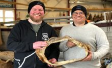 WHOI Researchers and Iceland Shark Experts