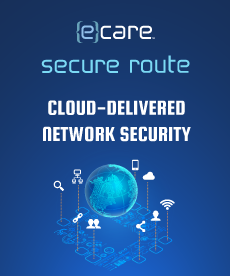 Cloud Delivered Network Security3