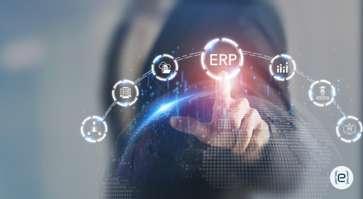 Maximize-Your-ERP-Potential-with-eCare-ERP-Services_subimage