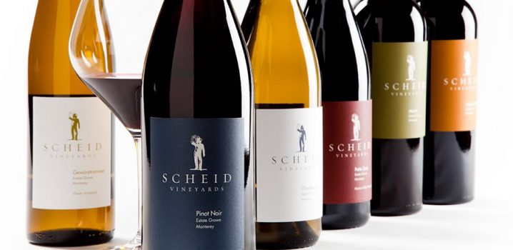 Harvesting the Potential of Scheid Vineyards